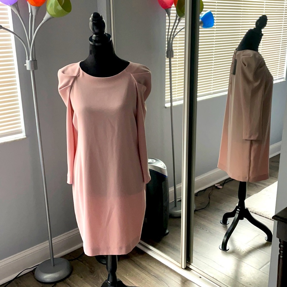 NWT Blush Pink Zara Dress